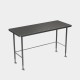 HYGIENOX Electropolished Table with Rear Rail