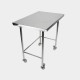 HYGIENOX Mobile Table with Rear Rail