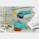SOLO 977 Nitrile Glove (Pack/100)